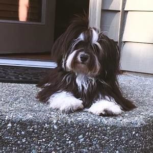 Meet your Posher, Jody